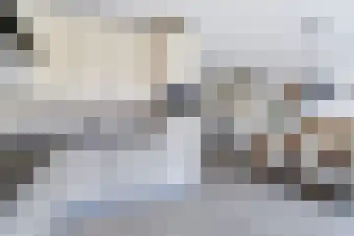 Gouverneurslaan 53 Geertruidenberg thumbnail 10