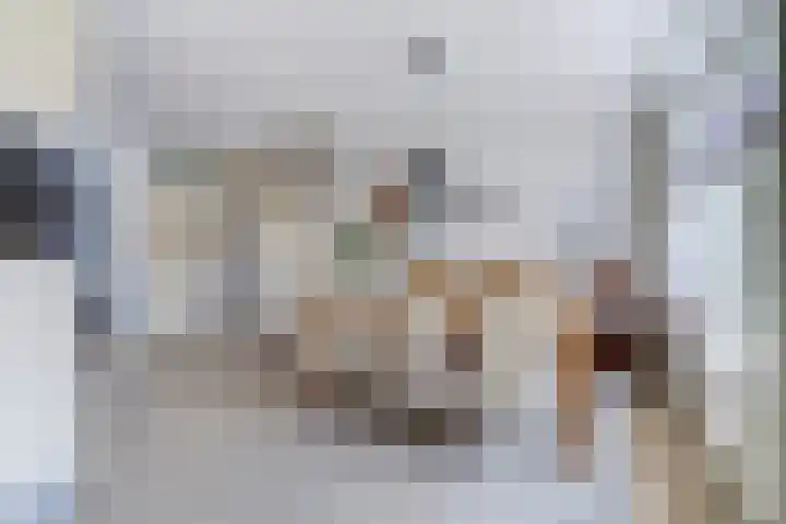 Gouverneurslaan 53 Geertruidenberg thumbnail 11