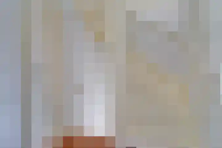 Gouverneurslaan 53 Geertruidenberg thumbnail 20