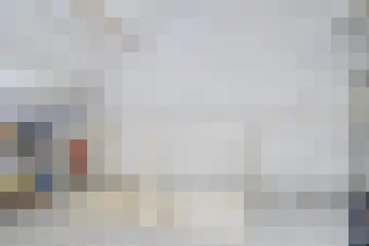Gouverneurslaan 53 Geertruidenberg thumbnail 21