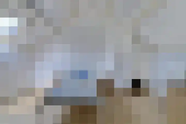 Gouverneurslaan 53 Geertruidenberg thumbnail 23