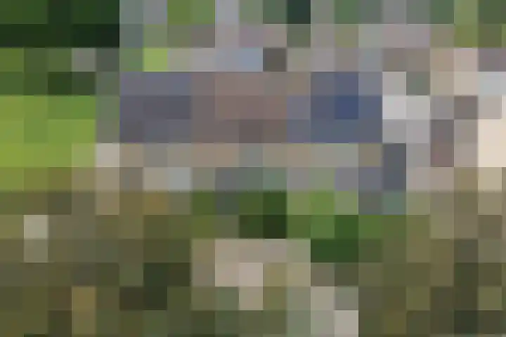 Gouverneurslaan 53 Geertruidenberg thumbnail 35