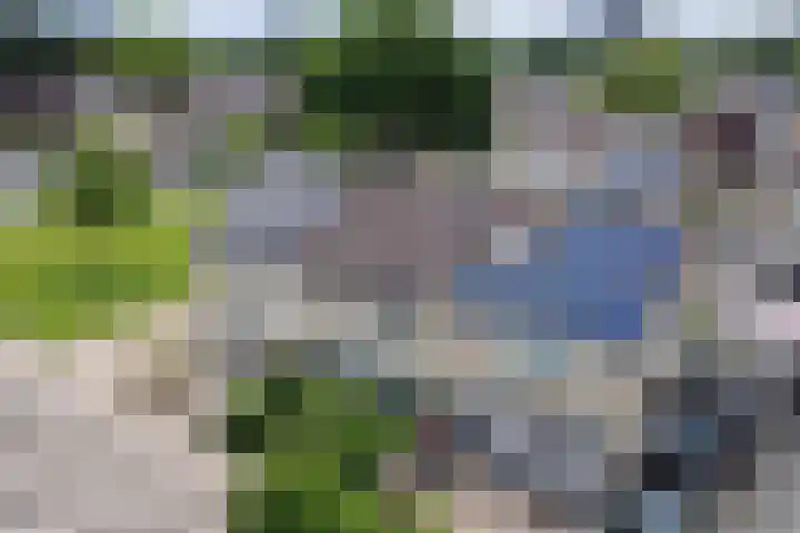 Gouverneurslaan 53 Geertruidenberg thumbnail 37