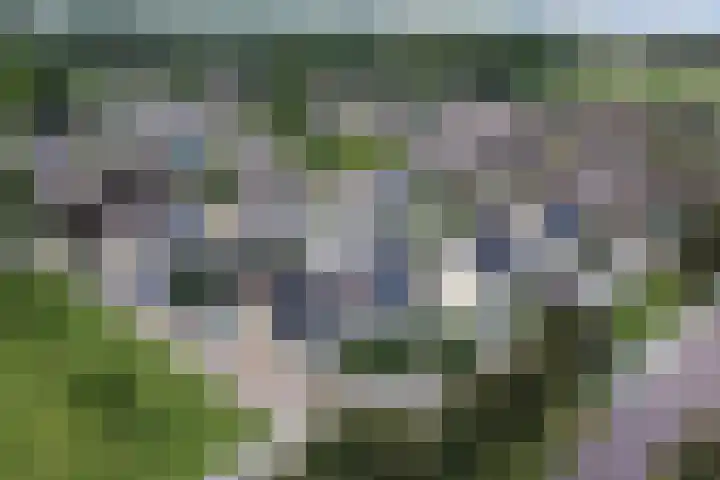 Gouverneurslaan 53 Geertruidenberg thumbnail 38