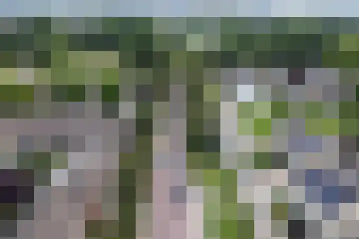 Gouverneurslaan 53 Geertruidenberg thumbnail 39