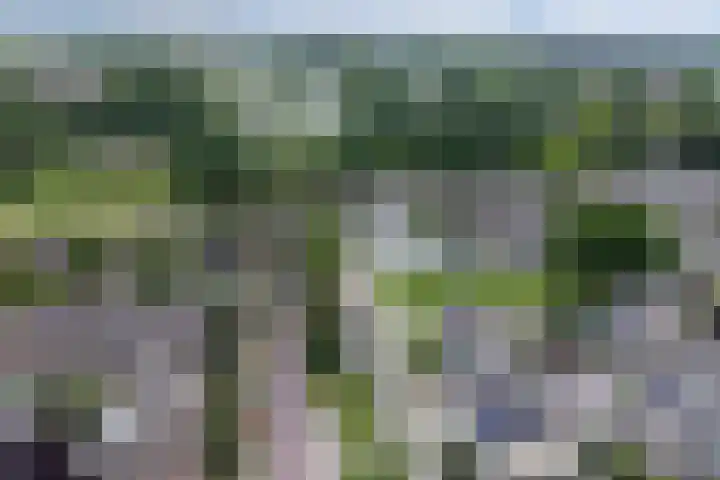 Gouverneurslaan 53 Geertruidenberg thumbnail 40
