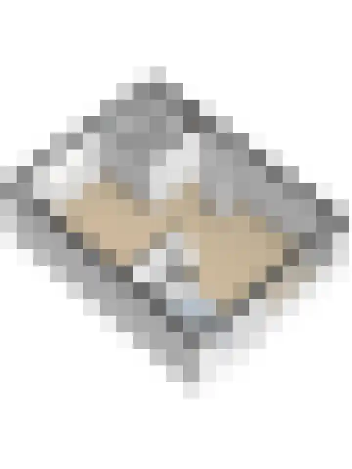 Gouverneurslaan 53 Geertruidenberg thumbnail 48