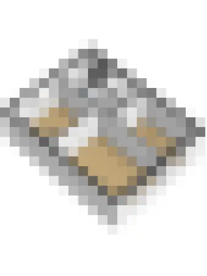Gouverneurslaan 53 Geertruidenberg thumbnail 49