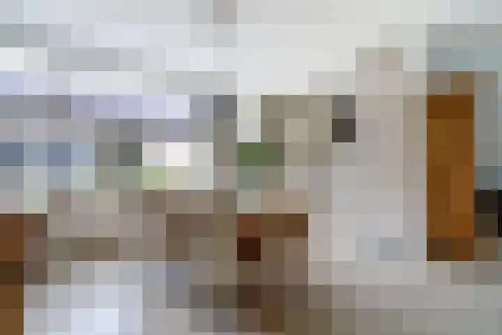 Gouverneurslaan 53 Geertruidenberg thumbnail 5