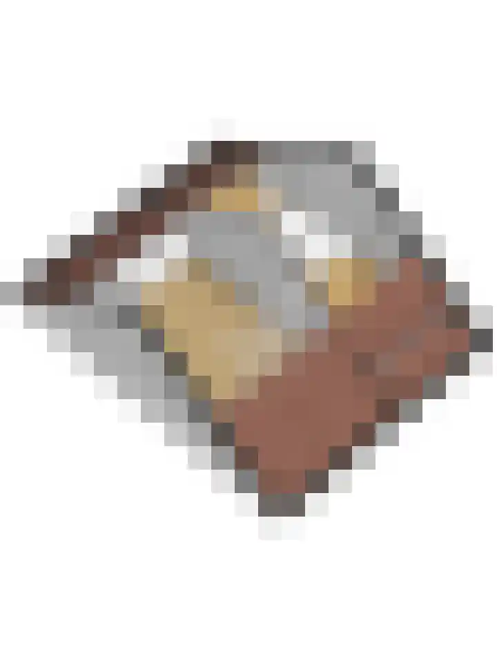 Gouverneurslaan 53 Geertruidenberg thumbnail 50