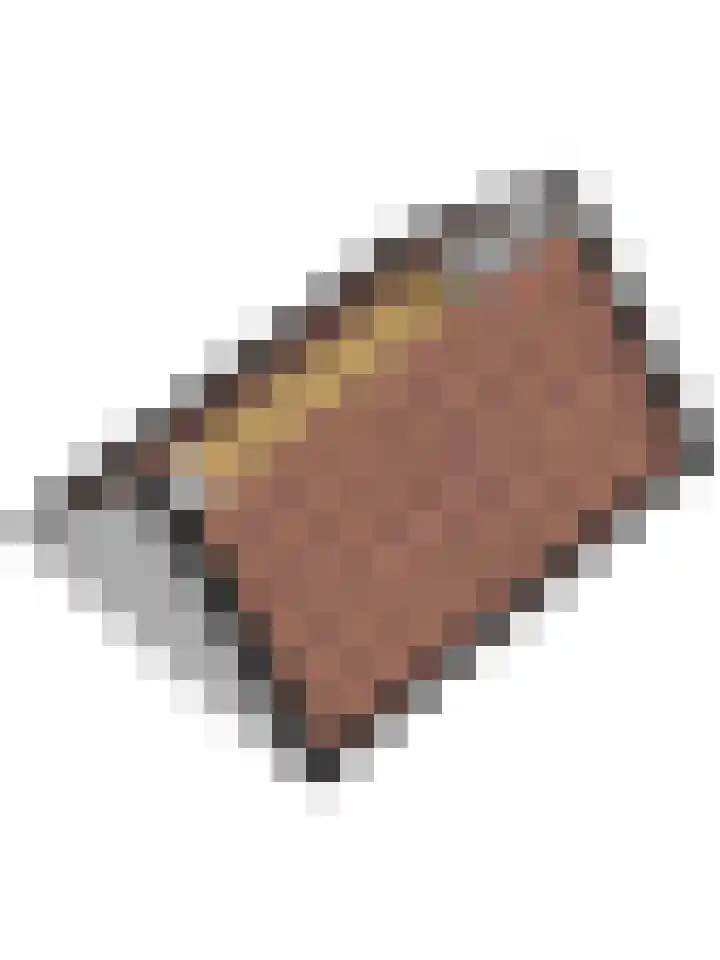 Gouverneurslaan 53 Geertruidenberg thumbnail 51
