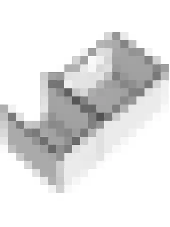 Gouverneurslaan 53 Geertruidenberg thumbnail 52