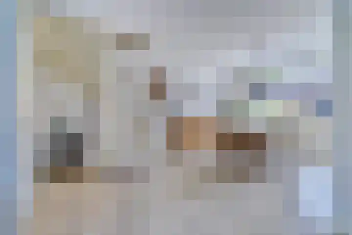 Gouverneurslaan 53 Geertruidenberg thumbnail 6