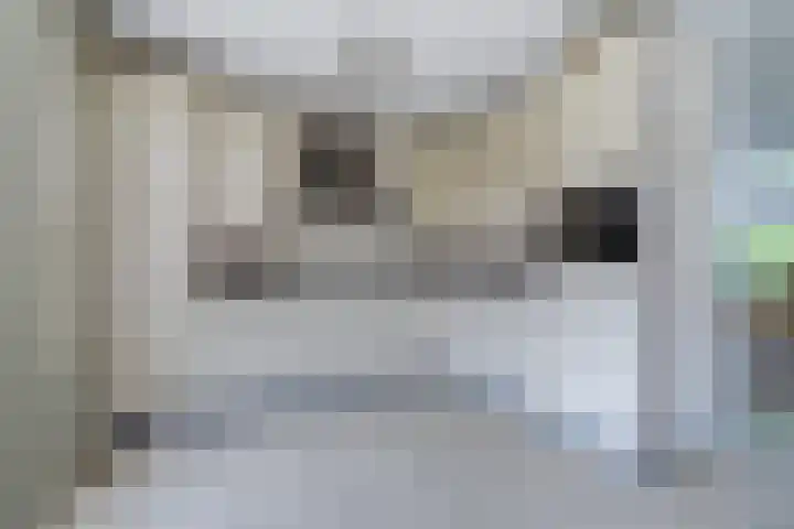 Gouverneurslaan 53 Geertruidenberg thumbnail 9
