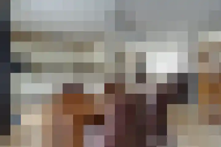 Gouverneurslaan 63 Geertruidenberg thumbnail 10