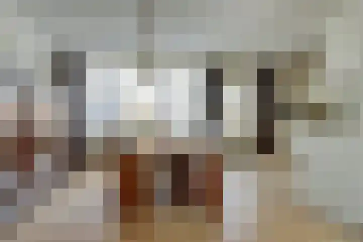 Gouverneurslaan 63 Geertruidenberg thumbnail 12