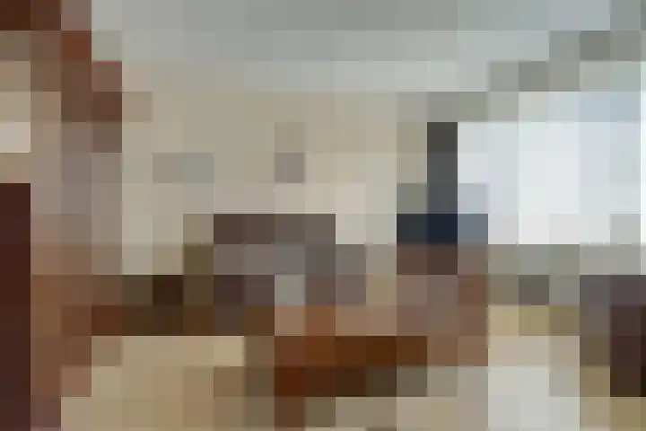 Gouverneurslaan 63 Geertruidenberg thumbnail 13