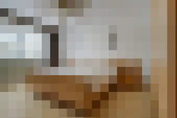 Gouverneurslaan 63 Geertruidenberg thumbnail 14