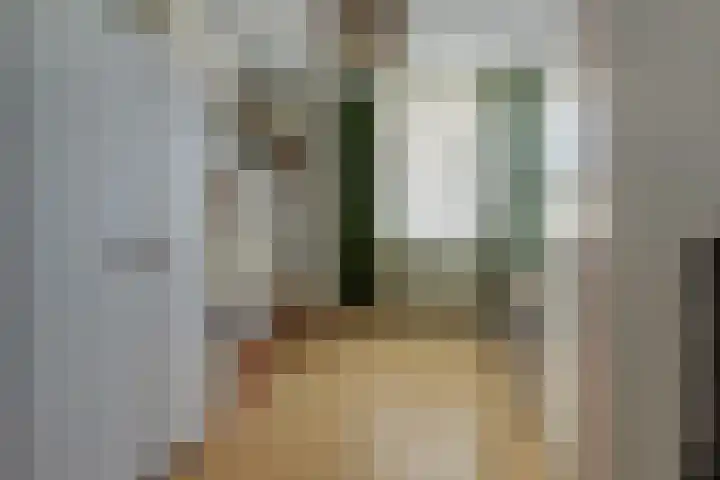 Gouverneurslaan 63 Geertruidenberg thumbnail 16