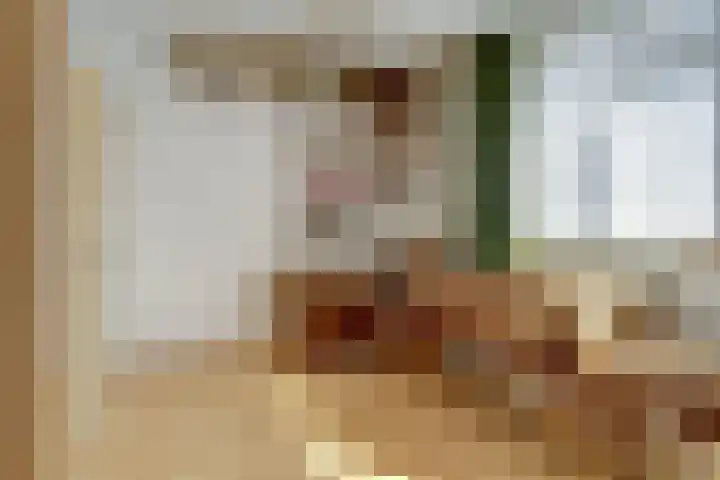Gouverneurslaan 63 Geertruidenberg thumbnail 18
