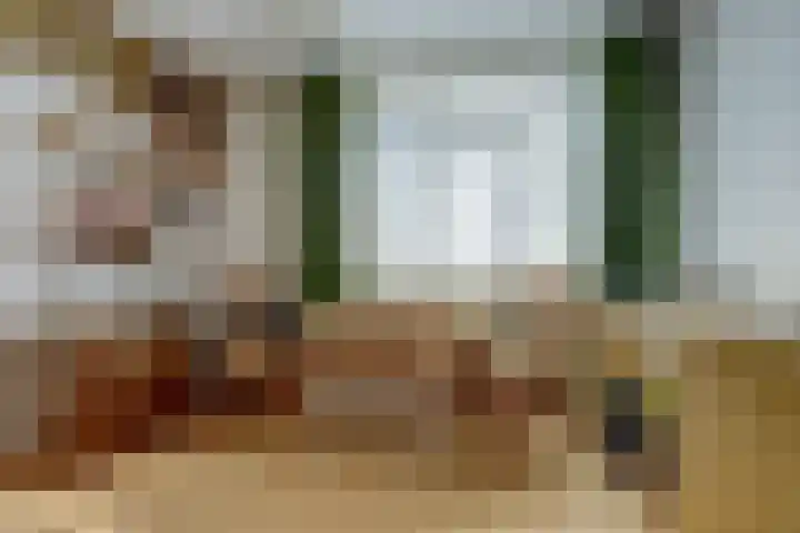 Gouverneurslaan 63 Geertruidenberg thumbnail 19