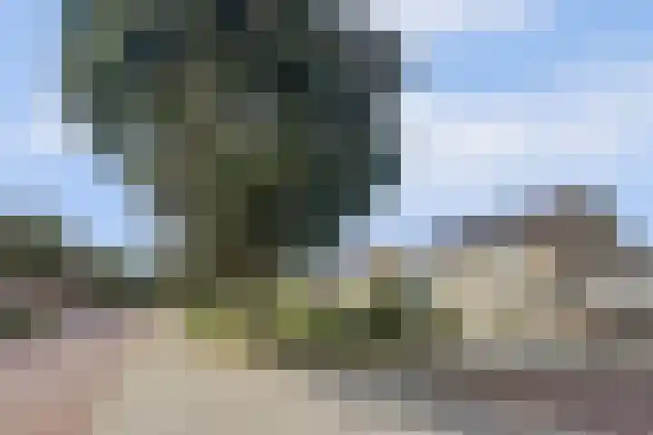 Gouverneurslaan 63 Geertruidenberg thumbnail 36