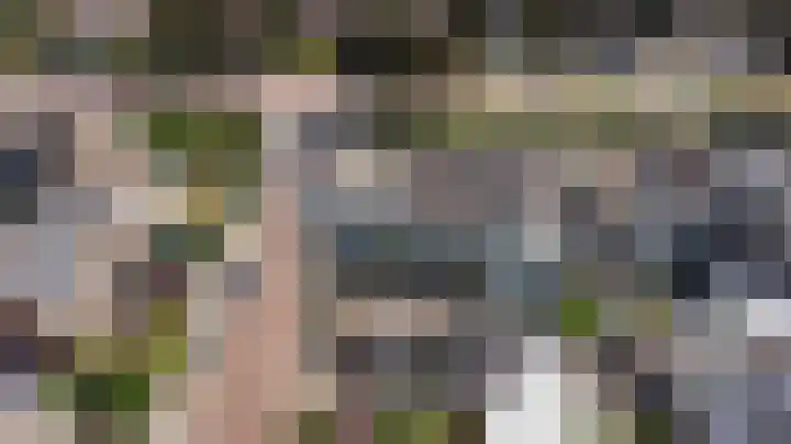 Gouverneurslaan 63 Geertruidenberg thumbnail 39