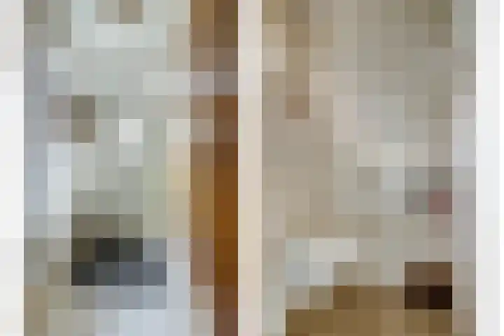 Gouverneurslaan 63 Geertruidenberg thumbnail 5