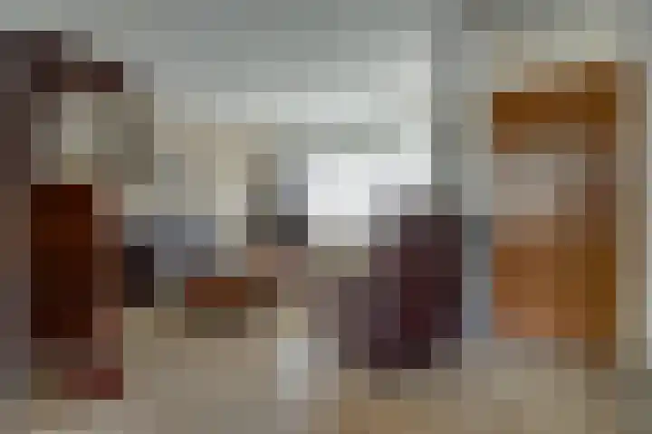 Gouverneurslaan 63 Geertruidenberg thumbnail 6