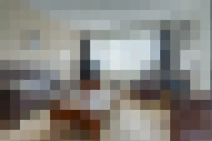Gouverneurslaan 63 Geertruidenberg thumbnail 7