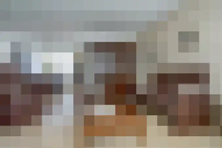 Gouverneurslaan 63 Geertruidenberg thumbnail 8