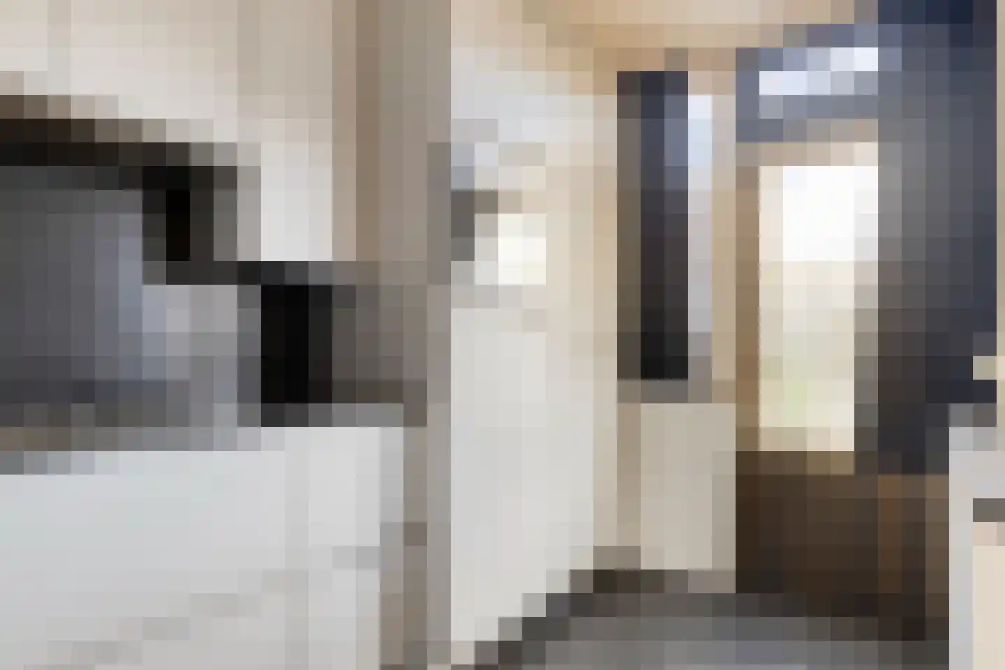 Gouverneurstraat 15 Sluis thumbnail 10