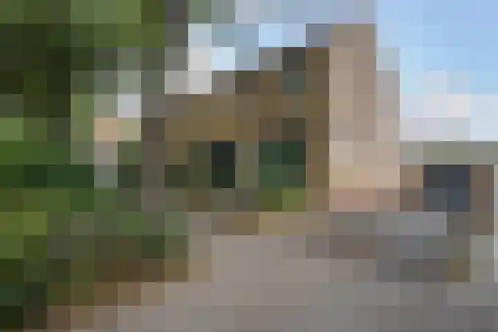 Gouverneurstraat 16 Brunssum thumbnail 41