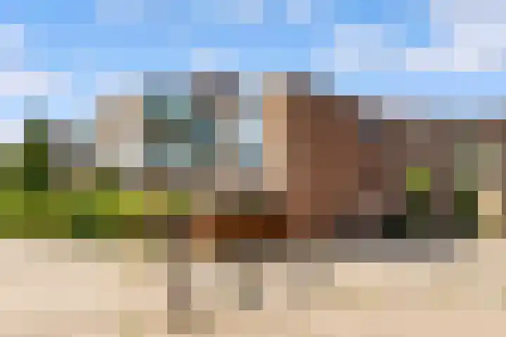 Gouverneurstraat 31 Almere thumbnail 44