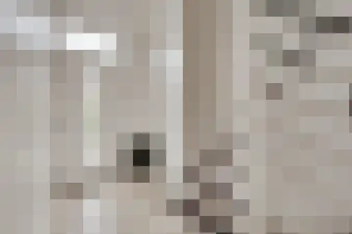 Gouverneurstraat 43 Sluis thumbnail 5