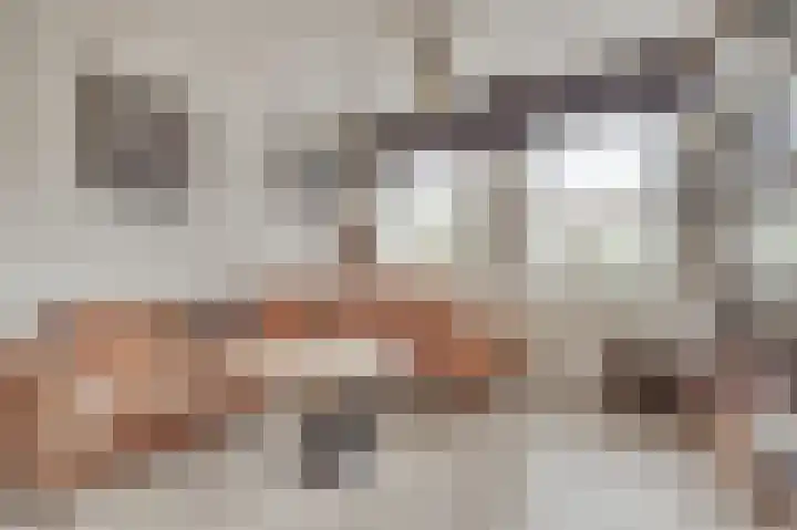 Gouverneurstraat 43 Sluis thumbnail 7