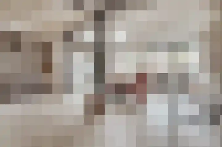 Gouverneurstraat 43 Sluis thumbnail 9