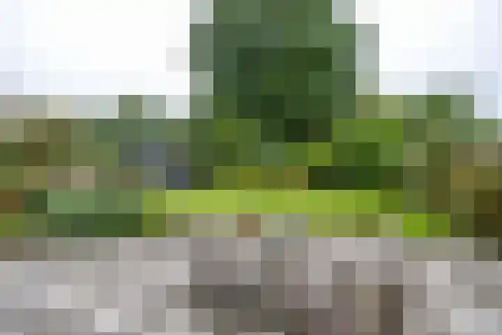 Gouw 15 Winsum thumbnail 10
