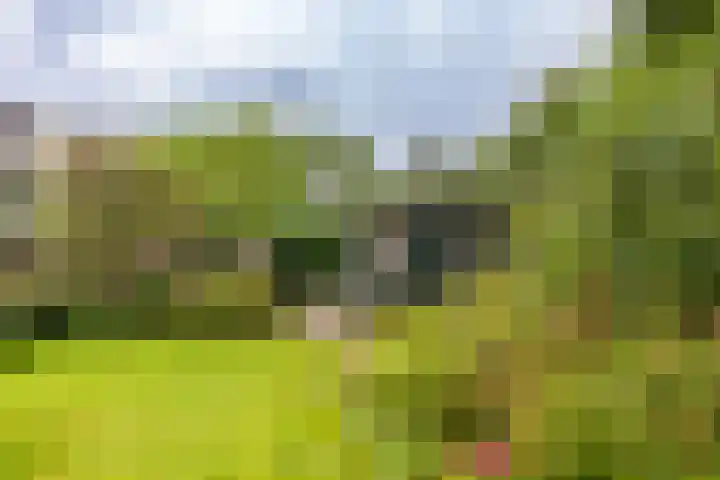 Gouw 15 Winsum thumbnail 12