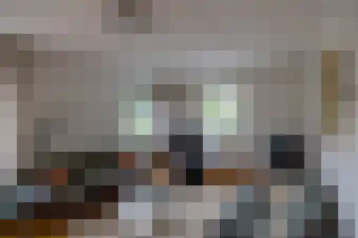 Gouw 15 Winsum thumbnail 15