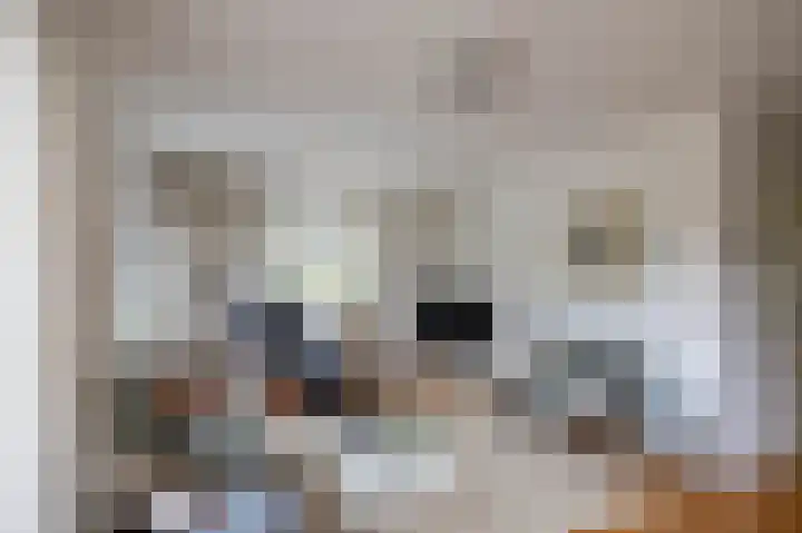 Gouw 15 Winsum thumbnail 16