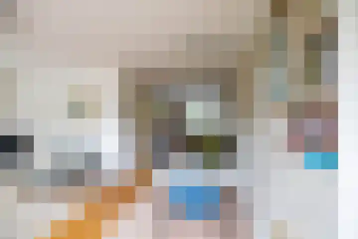 Gouw 15 Winsum thumbnail 18
