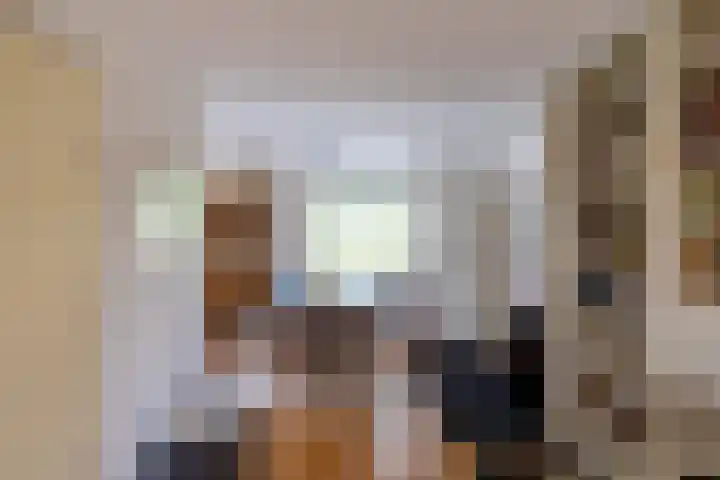 Gouw 15 Winsum thumbnail 19
