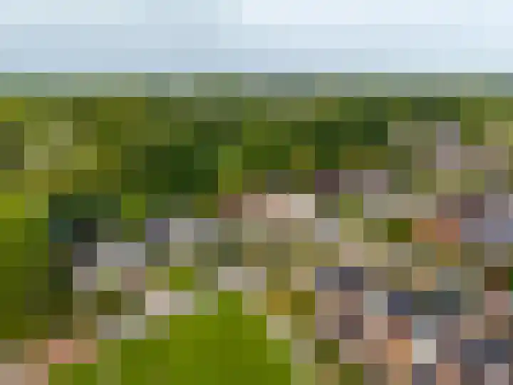 Gouw 15 Winsum thumbnail 38