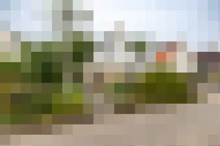 Gouw 15 Winsum thumbnail 39