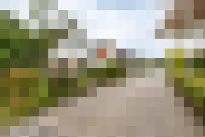 Gouw 15 Winsum thumbnail 4