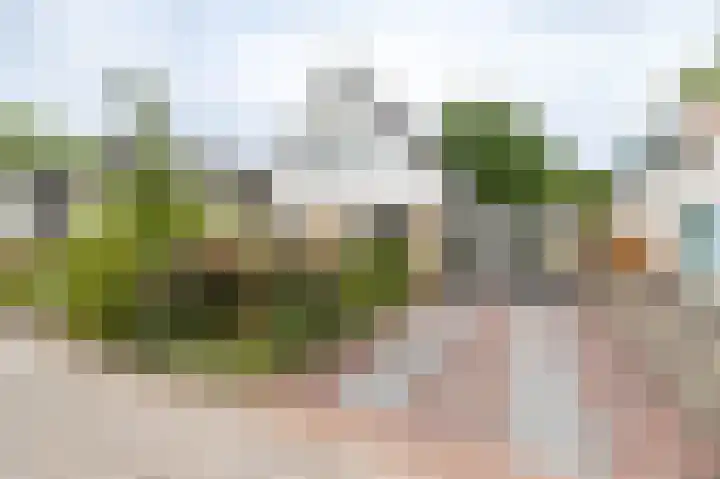 Gouw 15 Winsum thumbnail 5
