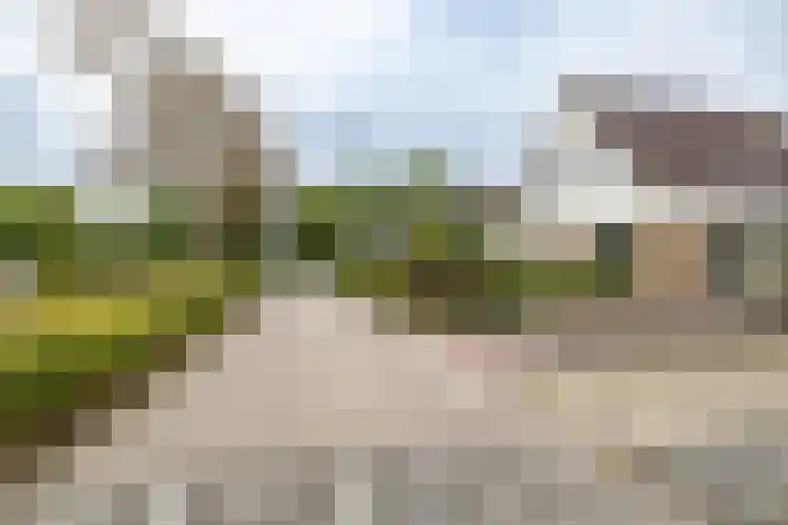 Gouw 15 Winsum thumbnail 6