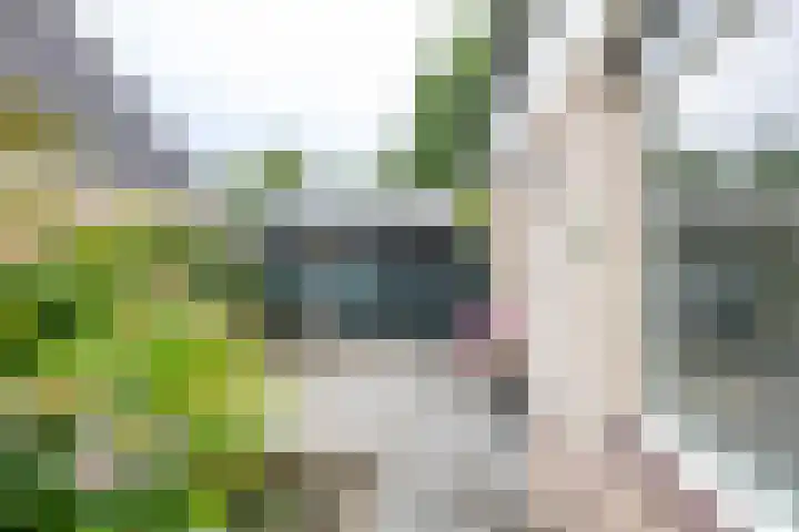 Gouw 15 Winsum thumbnail 7