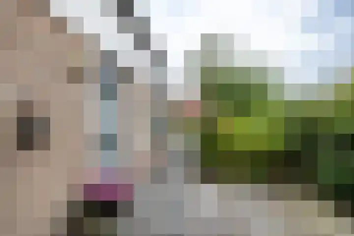 Gouw 15 Winsum thumbnail 8